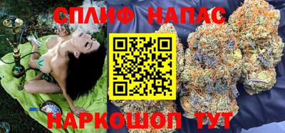 метадон Гай