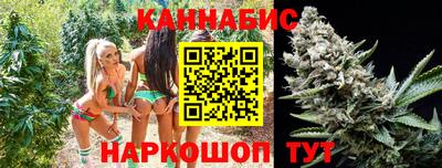 метадон Гай