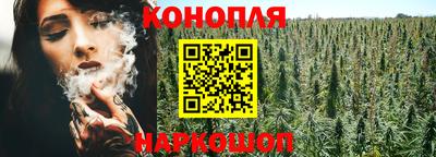 метадон Гай
