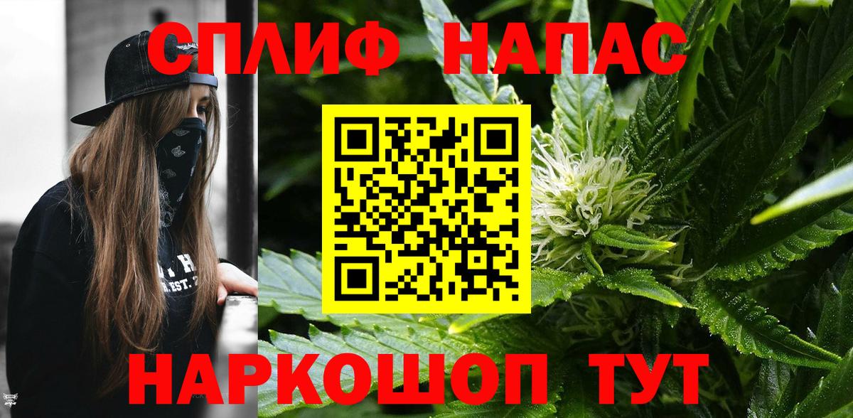 Бошки Шишки план Нефтекумск